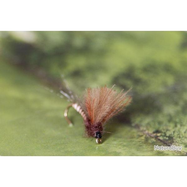 5 emergeantes SERIE 1