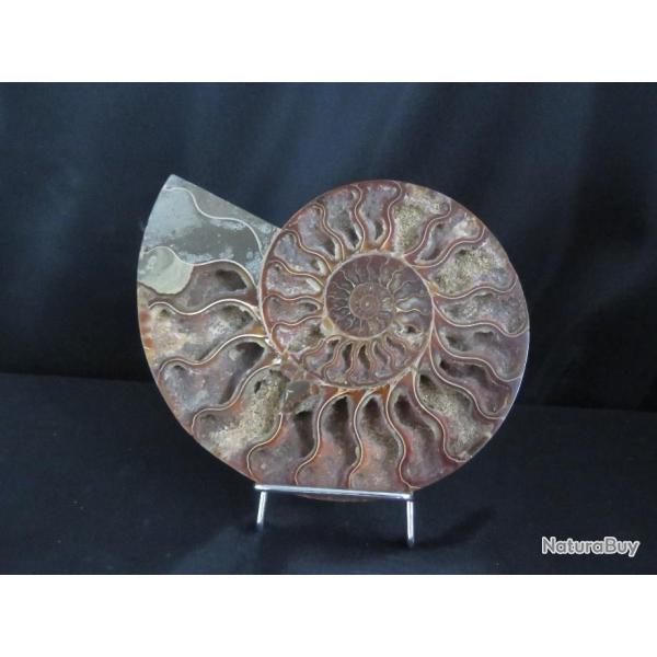 Jolie demi Ammonite polie de Madagascar fossile min�raux Diam�tre 20 cm !!! N� 7A Support offert