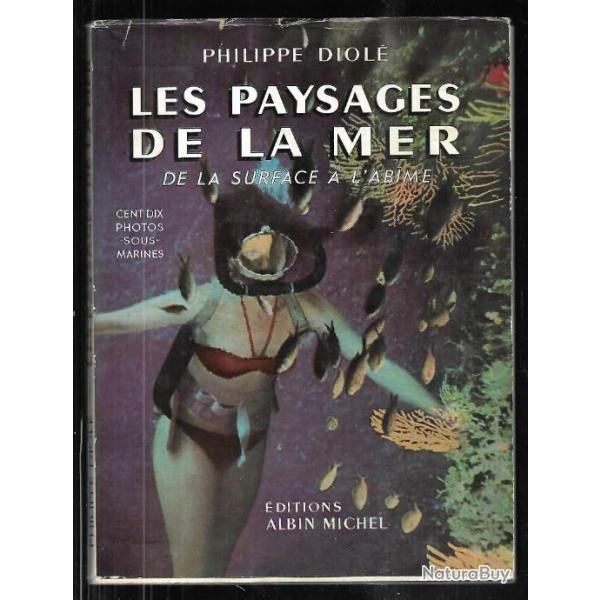 les paysages de la mer de la surface  l'abime philippe diol , plonge sous-marine