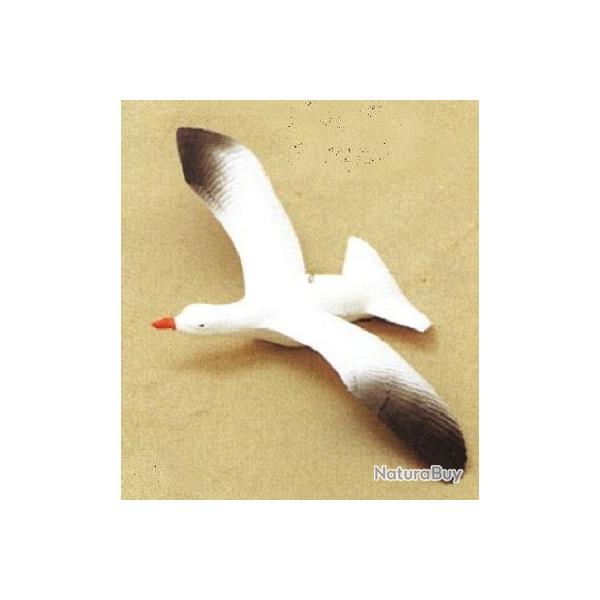 d�co mouette