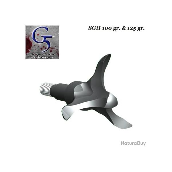 G5 SGH Pointe de chasse petit gibier 100 & 125 grains 100