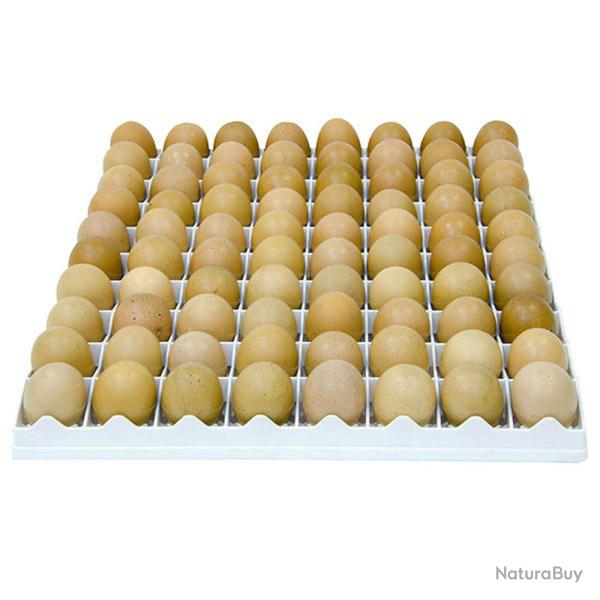 Panier d'incubation oeufs poules TR80