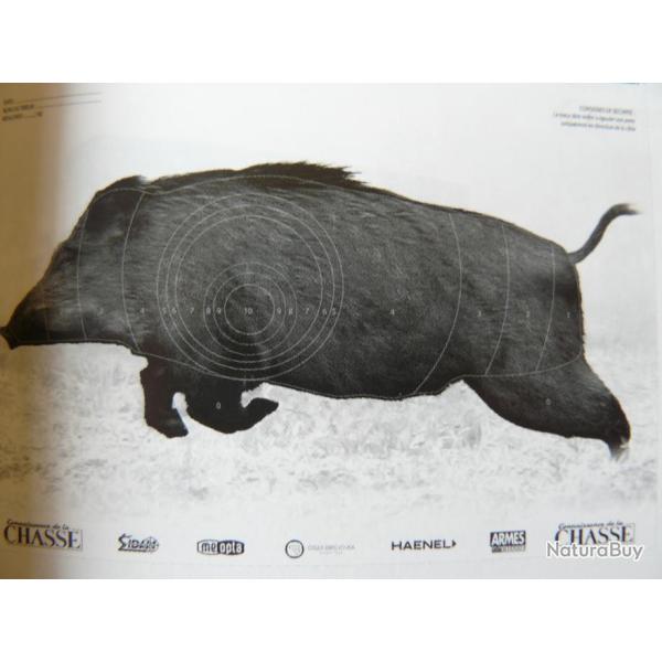 Cible de r�glage avec cibles sanglier