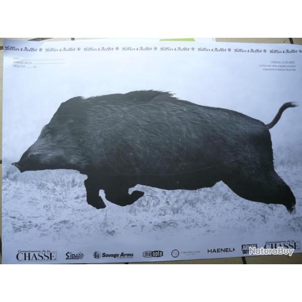 10 CIBLES DE REGLAGE OU D'ENTRAINEMENT