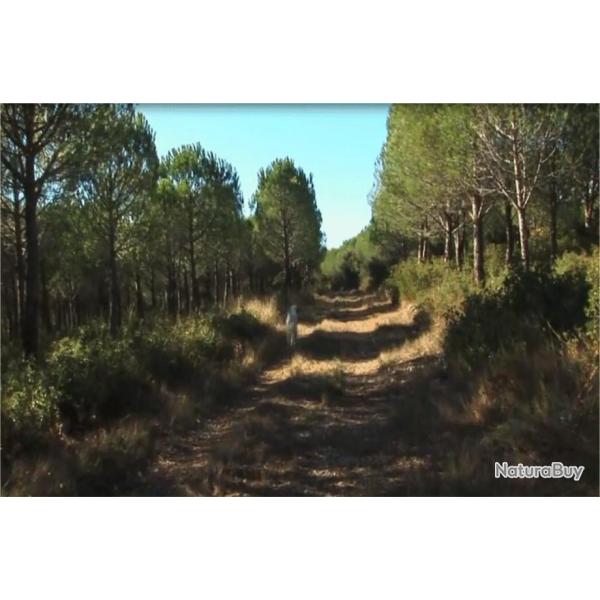 La Rasclause - Action de chasse Villetelle (34) Saison 2026-2027