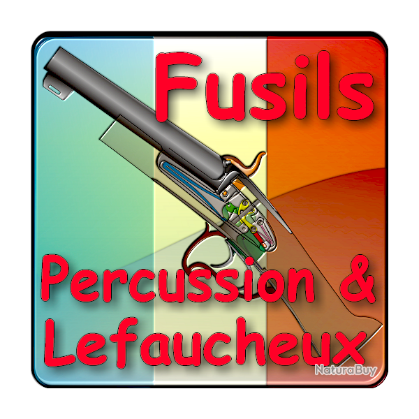 Les fusils de chasse Lefaucheux expliqu�s - ebook