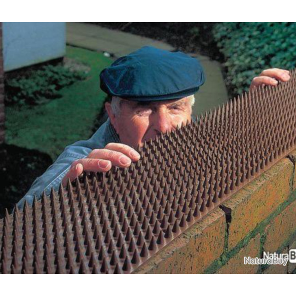 BARRIERE PIQUANTE ANTI INTRUSION (MARRON) LONGUEUR 4,50 M