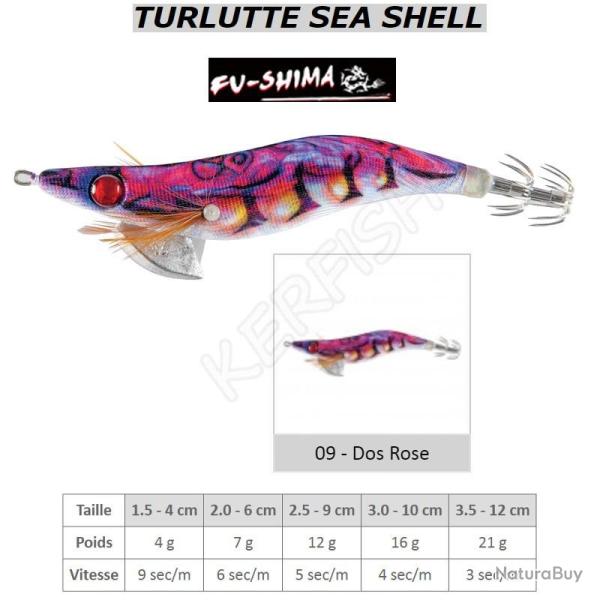 TURLUTTE SEA SHELL FU-SHIMA Dos Rose 1.5 - 4 cm