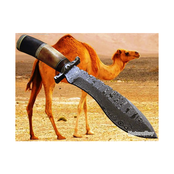 COLLECTION 2019 LAME  DAMAS CHASSE (os chameau bruni et corne noire) (2)