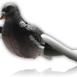 PALOMBE AILES TOURNANTE