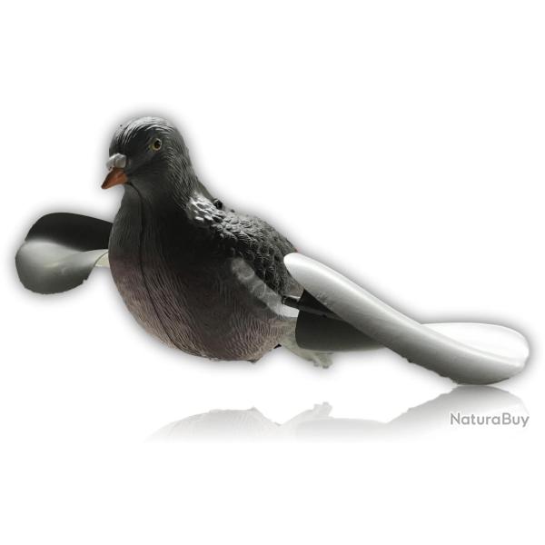 PALOMBE AILES TOURNANTE