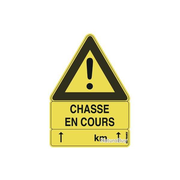 LOTS DE 10 CHASSE EN COURS