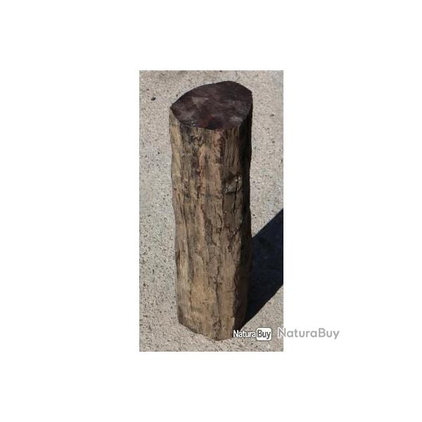 Bois Exotique a 10e le kg