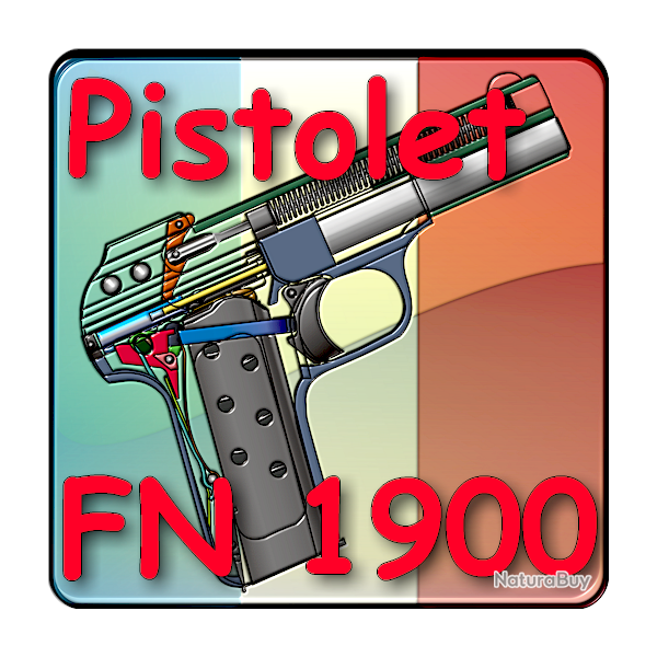 Le Pistolet FN 1900 expliqu� - ebook