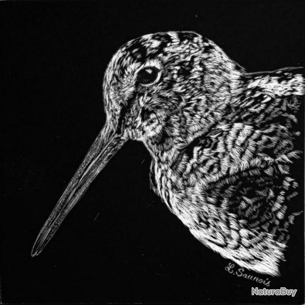 DESSIN au Scratchboard : OEUVRE ORIGINALE - Portrait de B�casse -