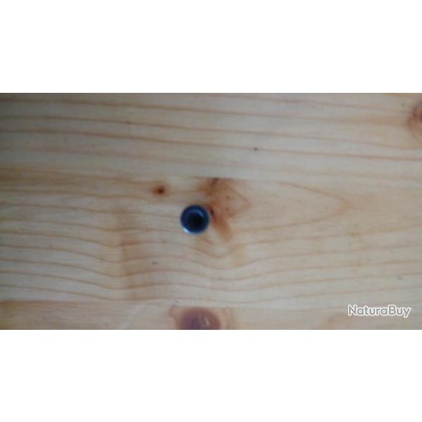 VENDS  VIS POUR RUGER 10/22