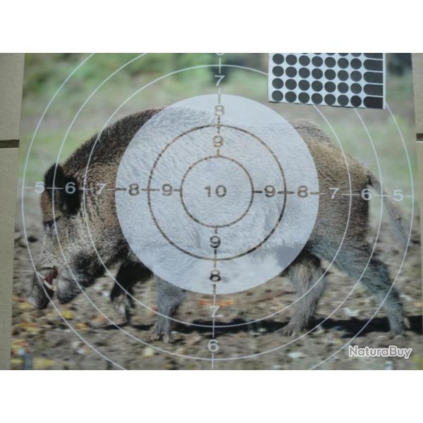 Cibles sanglier couleur  plus...