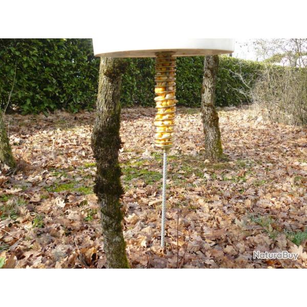 Lot de 2 ressorts agrainoirs special ma�s...  plus tige de protection