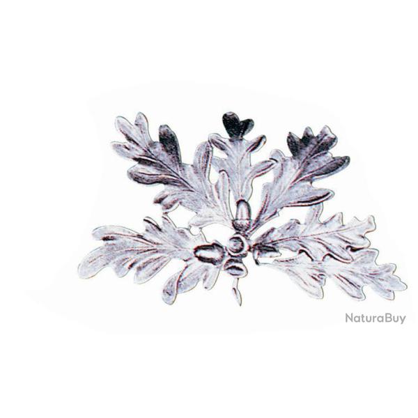 5 feuilles ch�ne brillantes