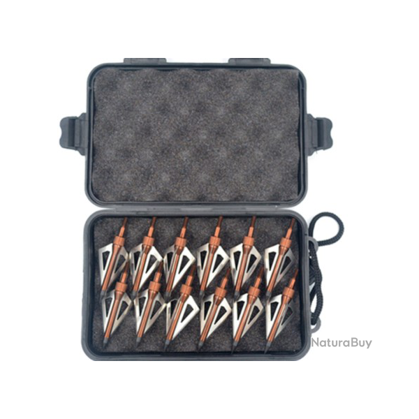 Tte large 12 pices acier inoxydable chasse pointes de flche - LIVRAISON GRATUITE !!