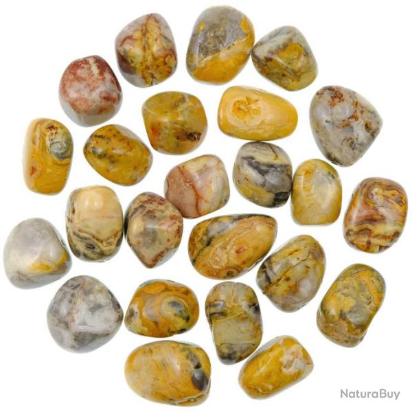 Pierres roul�es agate crazy lace - 2 � 3 cm - Lot de 2