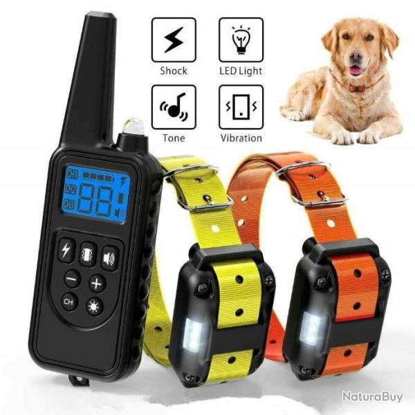 Starter 2 Collier de Dressage port de 800M  - Rechargeable tanche - LIVRAISON GRATUITE !!