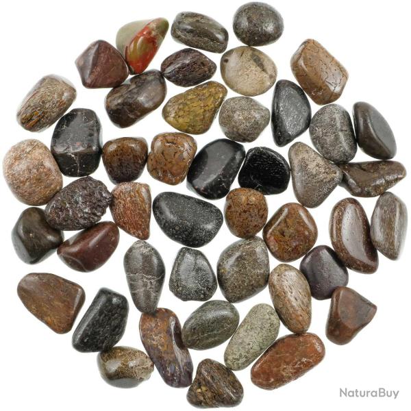 Pierres roul�es os de dinosaure fossilis� - 1.5 � 2.5 cm - Lot de 3