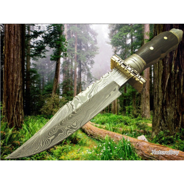 COLLECTION 2019 LAME  DAMAS CHASSE (  Manche Noyer garde laiton et acier)