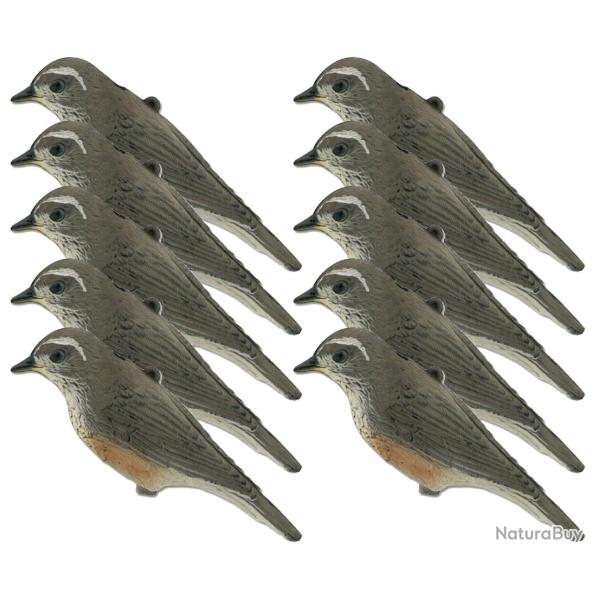 Pack 10 formes grive mauvis