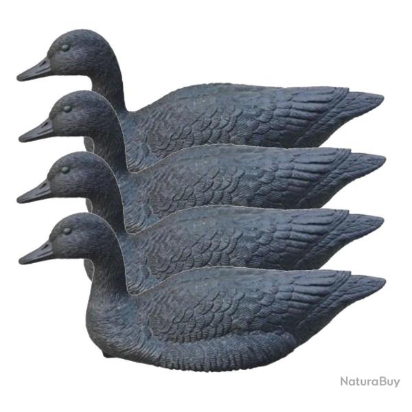 Pack 4 appelants oie noire flottante