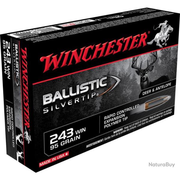20 Munitions WINCHESTER 243 Win 95gr Ballistic Silvertip