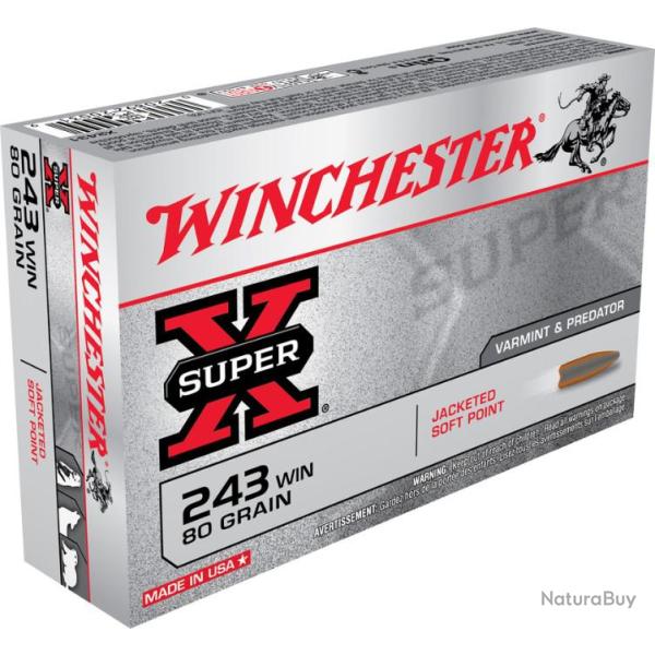 20 Munitions WINCHESTER cal 243 Win 80gr Power Point