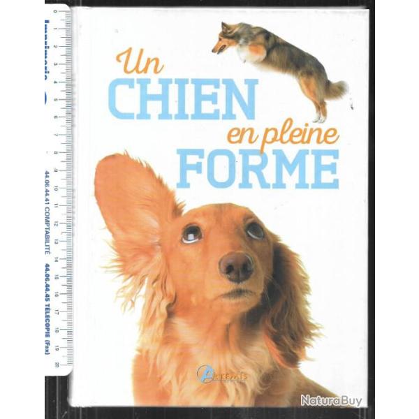 un chien en pleine forme dr alexandre balzer et annabelle loth v�t�rinaire