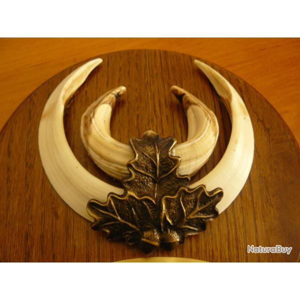 Support feuilles de chne .