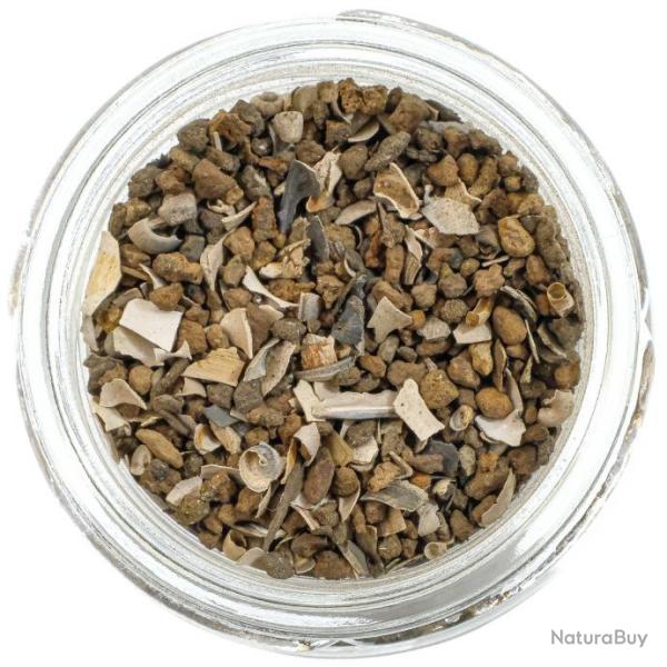 Microfossiles lit forestier de Cromer - 1 � 2 mm