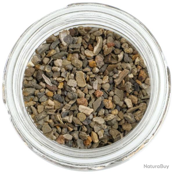 Microfossiles argile d'Oxford - 1 � 2 mm