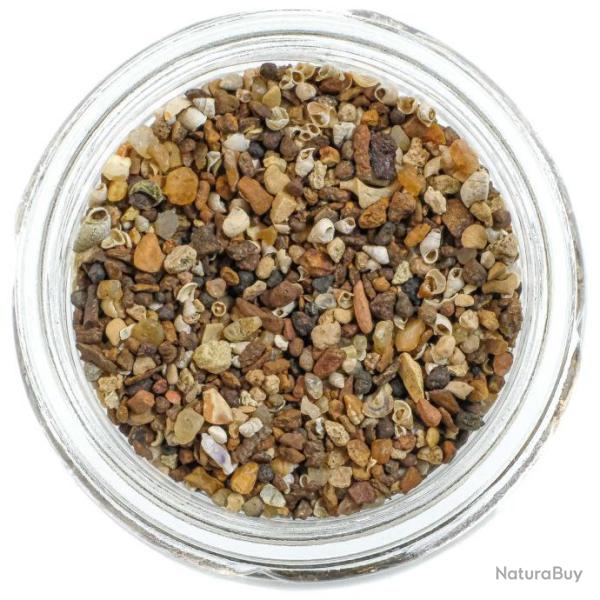 Microfossiles argile de Londres - 1 � 2 mm