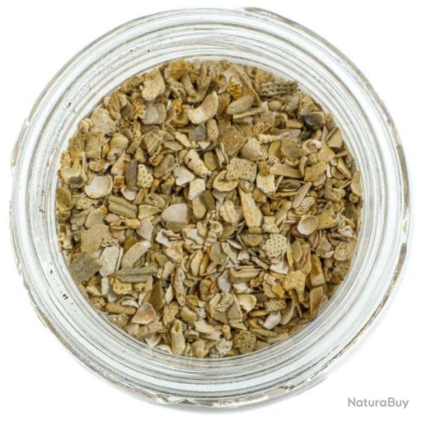 Microfossiles roche corallienne - 1 � 2 mm