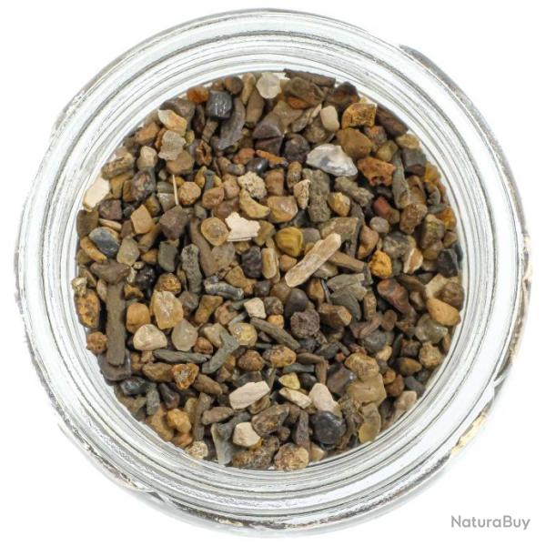 Microfossiles lit d'eau douce de l'Ampthill - 1 � 2 mm