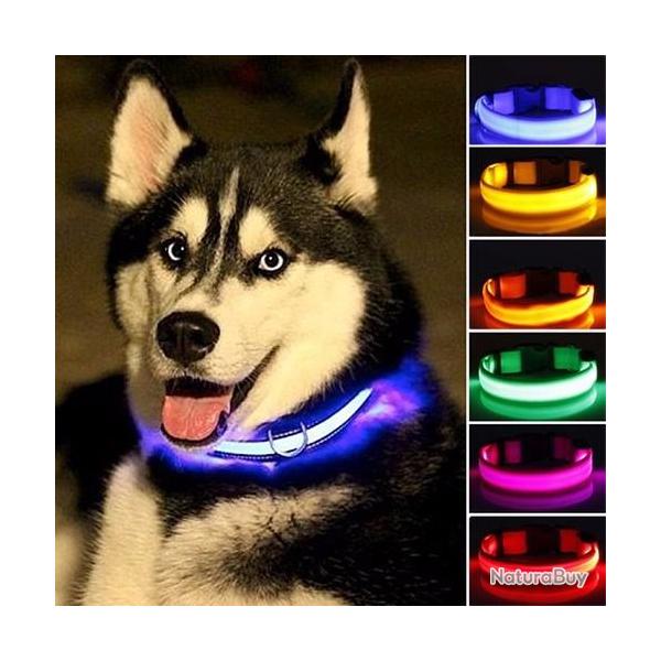 Collier Lumineux pour Chien LED Fluorescent Jaune XS NEUF