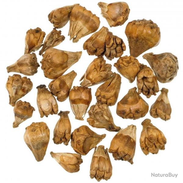 Graines d�coratives camel - 100 grammes