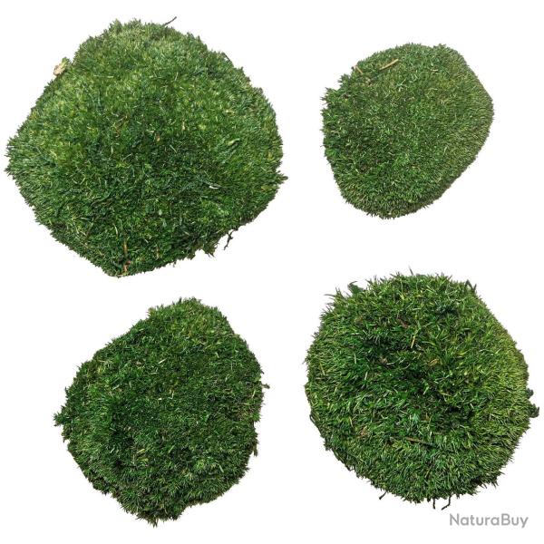 Mousse naturelle stabilis�e forme arrondie - Vert fonc� - Lot de 4