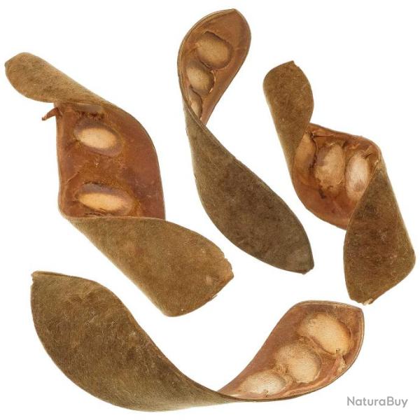 Gousses de haricots twist velours - Lot de 6