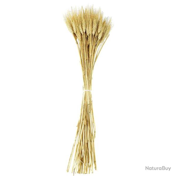 Bouquet botte de bl� barbe blonde - 75 cm