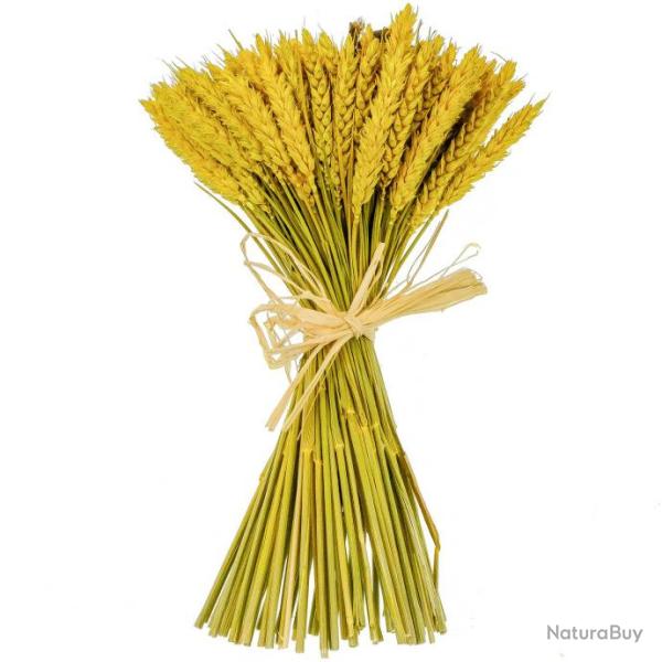 Bouquet de fleurs sches compos jaune - 30 cm