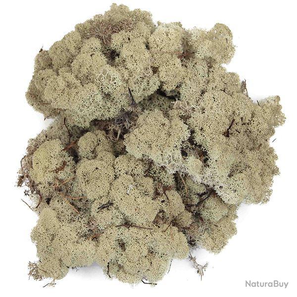 Lichen des rennes stabilis� blanchi - 120 grammes