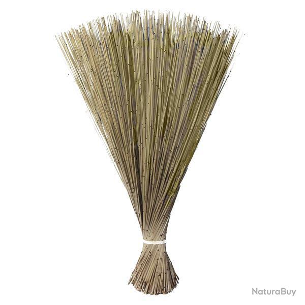 Bouquet botte de roseaux de canne beige - 80 cm
