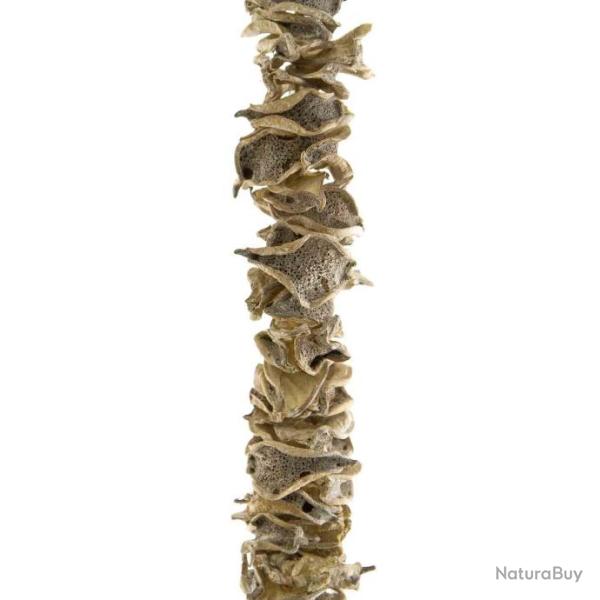 Guirlande en cosses de coton - 1.5 m�tres