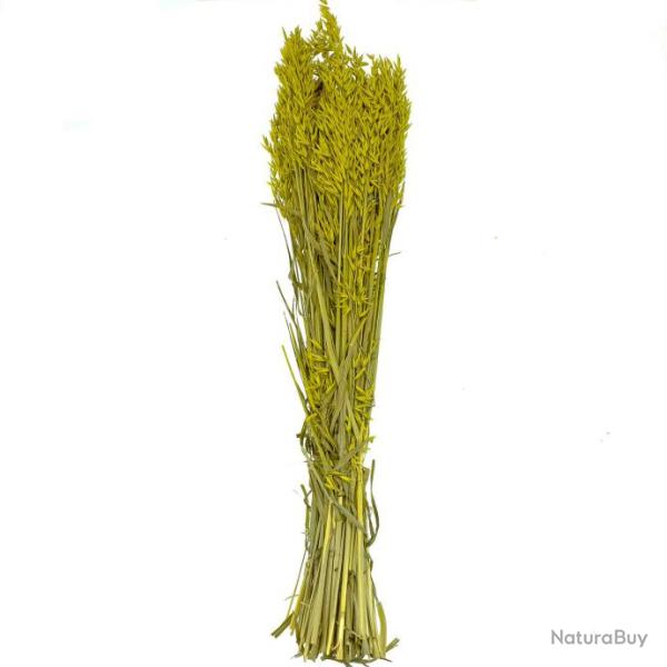 Bouquet fleurs s�ch�es avoine jaune - 70 cm