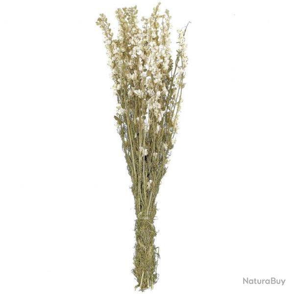 Bouquet fleurs sches delphinium blanc - 60 cm